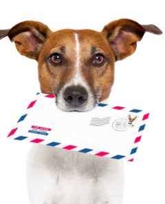 dog-attacks-on-mail-carriers
